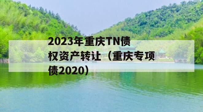 2023年重庆TN债权资产转让（重庆专项债2020）