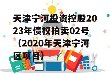 天津宁河投资控股2023年债权拍卖02号（2020年天津宁河区项目）