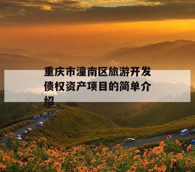 重庆市潼南区旅游开发债权资产项目的简单介绍