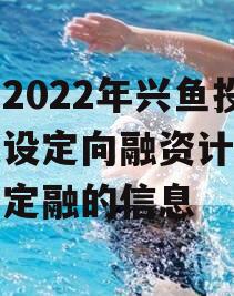 关于2022年兴鱼投资建设定向融资计划政府债定融的信息