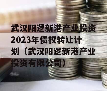 武汉阳逻新港产业投资2023年债权转让计划（武汉阳逻新港产业投资有限公司）