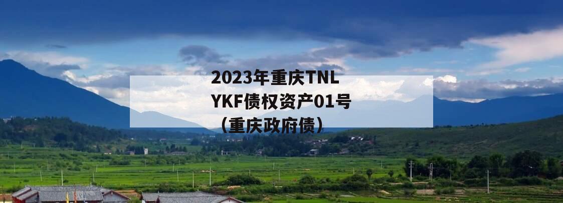 2023年重庆TNLYKF债权资产01号（重庆政府债）