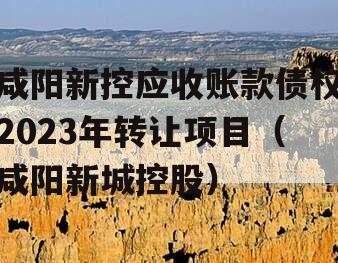 咸阳新控应收账款债权2023年转让项目（咸阳新城控股）