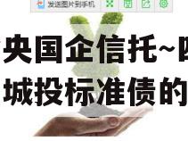 包含央国企信托～四川泸州城投标准债的词条