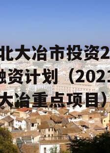 湖北大冶市投资2023融资计划（2021年大冶重点项目）