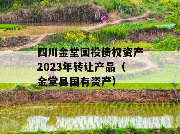 四川金堂国投债权资产2023年转让产品（金堂县国有资产）